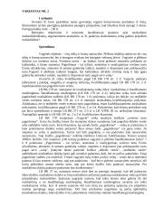 Mažareikšmis nusikaltimas, nepakaltinamumas ir ribotas pakaltinamumas