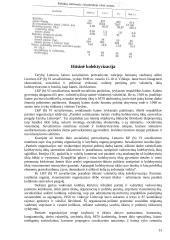 Antroji Lietuvos sovietizacija. Kolektyvizacija ir tremtys 13 puslapis