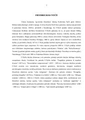 Antžmogio alegorija Nyčės filosofijoje 2 puslapis