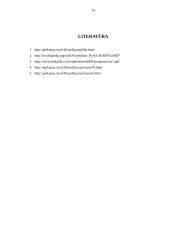 Antžmogio alegorija Nyčės filosofijoje 13 puslapis
