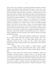 Antžmogio alegorija Nyčės filosofijoje 4 puslapis