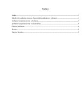 Apskaitos kompiuterizavimas: privalumai ir galimos problemos 2 puslapis