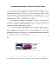 Apskaitos kompiuterizavimas: privalumai ir galimos problemos 4 puslapis