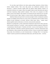 Apskaitos kompiuterizavimas: privalumai ir galimos problemos 7 puslapis