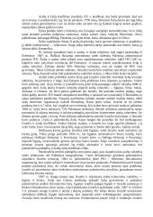 Arabų ir Izraelio konfliktas 2 puslapis