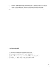 Architektūros mokslas 13 puslapis