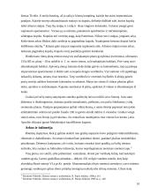 Architektūros mokslas 10 puslapis