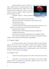 Archyvavimo samprata, paskirtis bei programos 11 puslapis