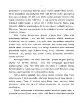 Atėnų demokratijos bruožai 7 puslapis