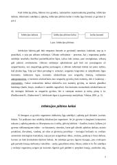 Atsakingo elgesio, sergant infekcinėmis ligomis, įpročių ugdymas 5 puslapis