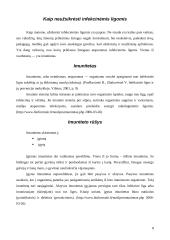 Atsakingo elgesio, sergant infekcinėmis ligomis, įpročių ugdymas 8 puslapis