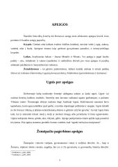 Aukojimai Lietuvos priešistorėje 4 puslapis