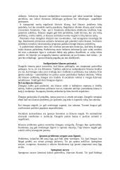 Ausų ligos 3 puslapis