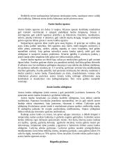 Ausų ligos 5 puslapis