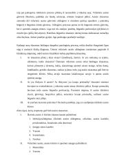 Ausų skausmas. Vidurinės ausies uždegimas 4 puslapis
