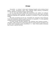 Automobiliai 3 puslapis