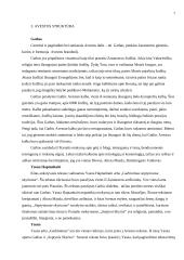 Avestos struktūra 7 puslapis