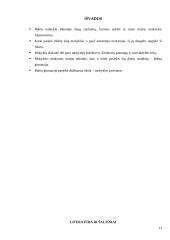 Babtų mokyklos istorija 13 puslapis