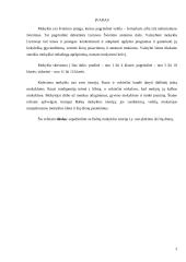 Babtų mokyklos istorija 3 puslapis