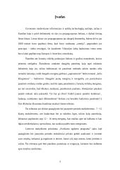 Badavimas, badavimo priežastys ir pasekmės 3 puslapis