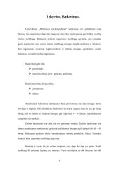 Badavimas, badavimo priežastys ir pasekmės 4 puslapis