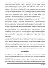 Baltų gentys ir amatai 11 puslapis