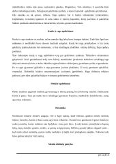 Baltų gentys ir amatai 12 puslapis