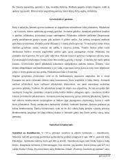 Baltų gentys ir amatai 14 puslapis