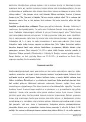 Baltų gentys ir amatai 15 puslapis