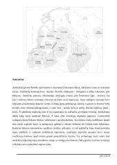 Baltų gentys ir amatai 3 puslapis