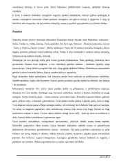 Baltų gentys ir amatai 6 puslapis