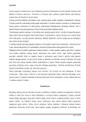 Baltų gentys ir amatai 7 puslapis