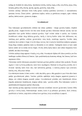 Baltų gentys ir amatai 8 puslapis