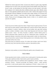 Baltų gentys ir amatai 9 puslapis