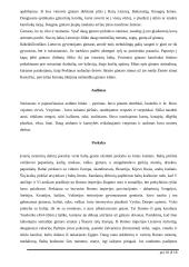 Baltų gentys ir amatai 10 puslapis