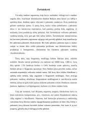 Bendrai apie Baltijos jūrą ir jos ypatybes 11 puslapis