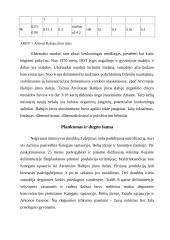 Bendrai apie Baltijos jūrą ir jos ypatybes 19 puslapis