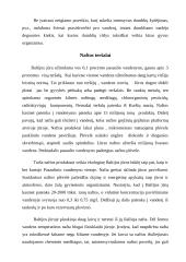 Bendrai apie Baltijos jūrą ir jos ypatybes 20 puslapis