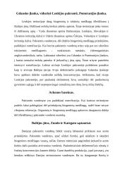 Bendrai apie Baltijos jūrą ir jos ypatybes 7 puslapis