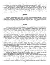 Baltų gentys 14 puslapis