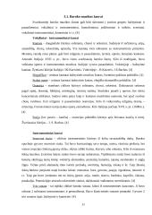 Baroko kultūra ir muzika 11 puslapis