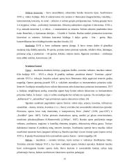 Baroko kultūra ir muzika 12 puslapis