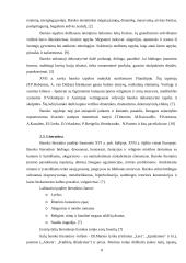 Baroko kultūra ir muzika 8 puslapis