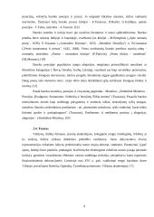Baroko kultūra ir muzika 9 puslapis