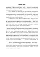 Baroko kultūra ir muzika 10 puslapis