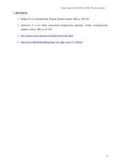 Bendri programos Windows 9x (2000, XP) darbo pagrindai 9 puslapis