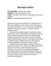 Senovės Bizantijos imperija 5 puslapis