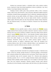 Bizantijos kultūra 5 puslapis
