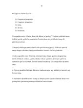 Centrinė okliuzija 18 puslapis