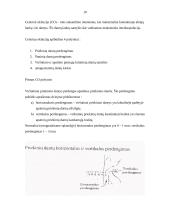 Centrinė okliuzija 10 puslapis